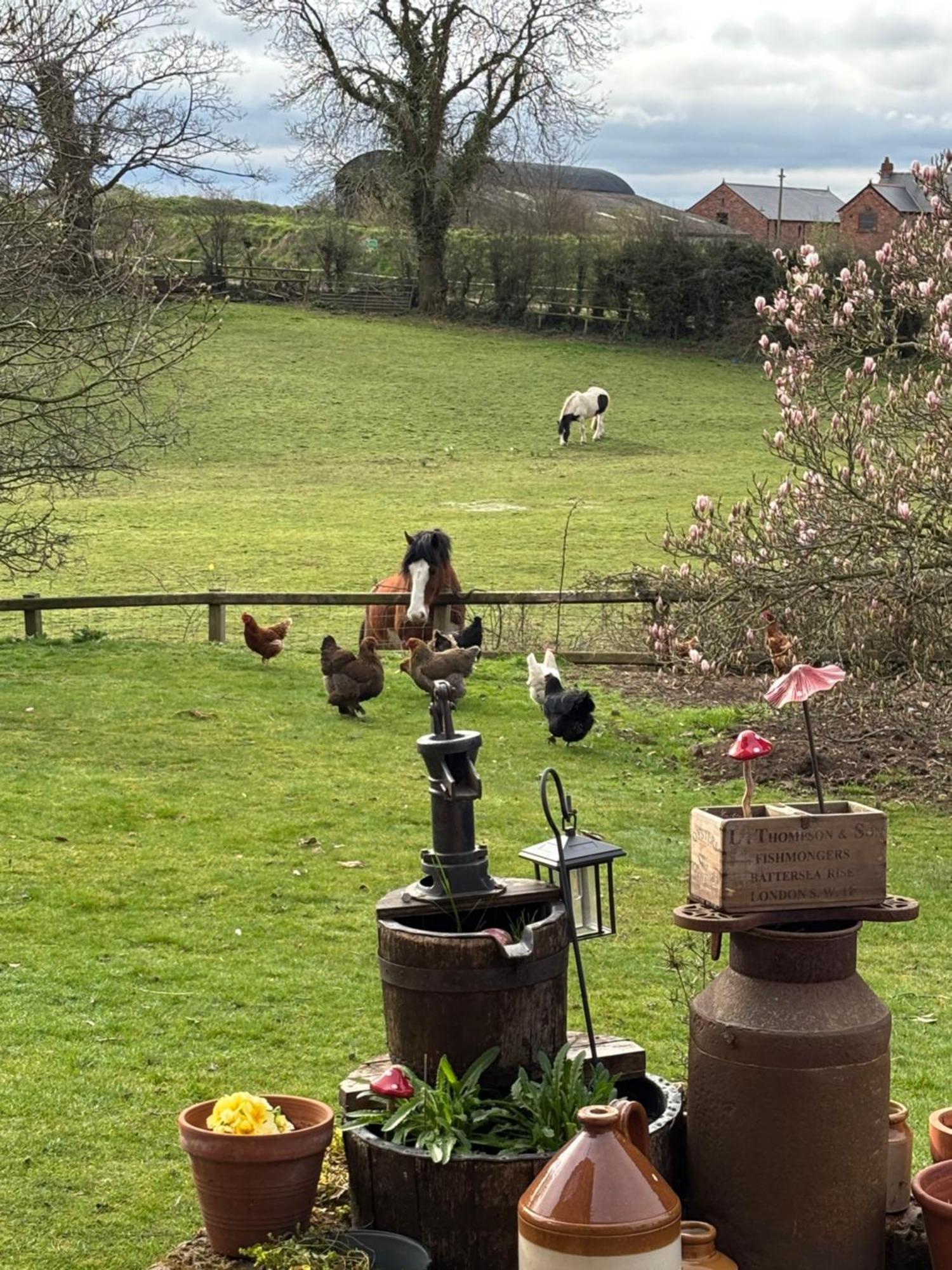Bumbleberry Cottage Gresford Bagian luar foto